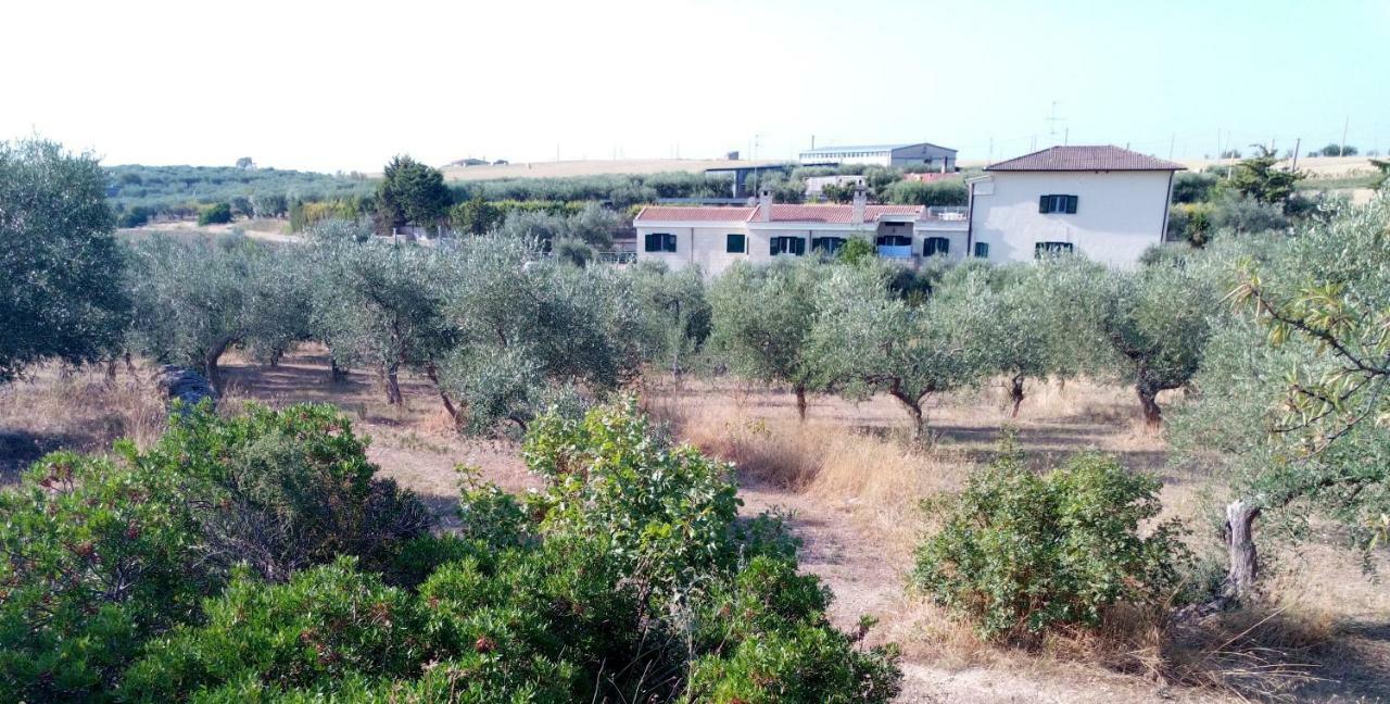 Dimore All'Ofra Matera Dış mekan fotoğraf